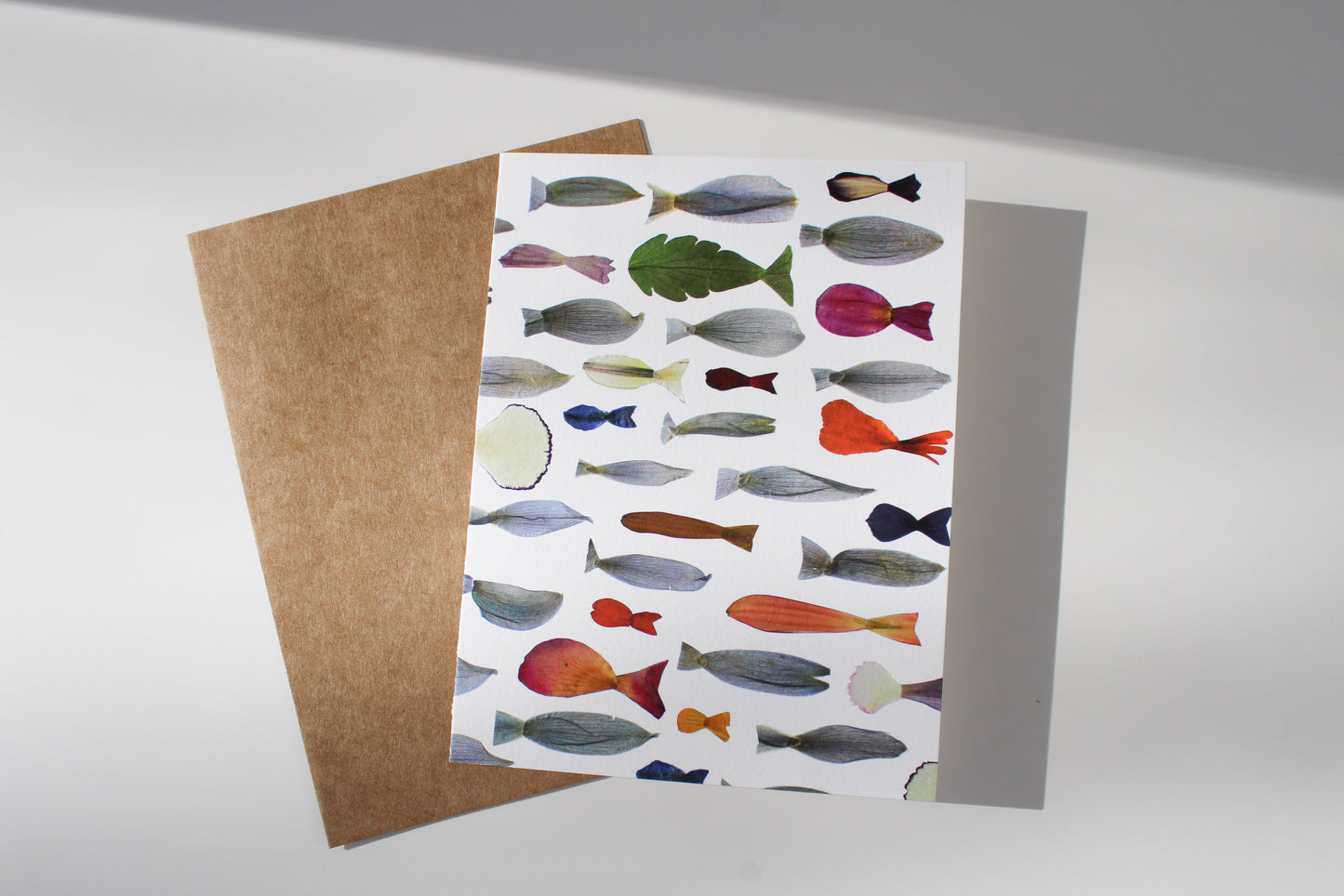 "TRANSFORMED FISH" ASSORTED NOTE CARD SET OF 5