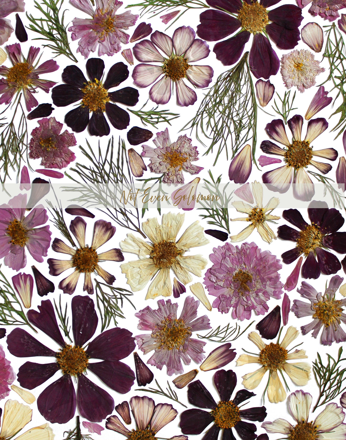 "I'M A COSMO GIRL IN A COSMO WORLD" FINE ART PRINT