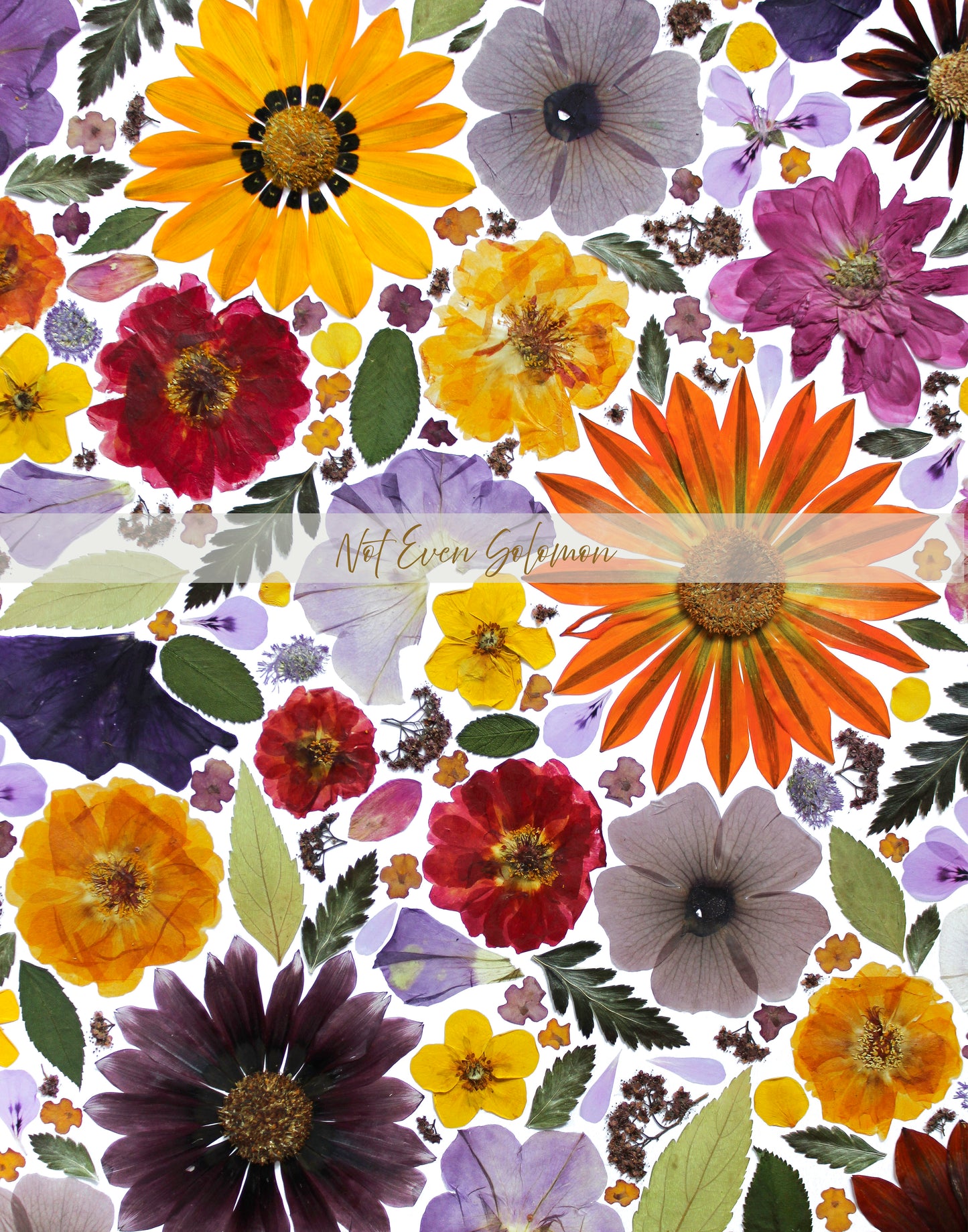 "MEEMAW'S GARDEN" FINE ART PRINT