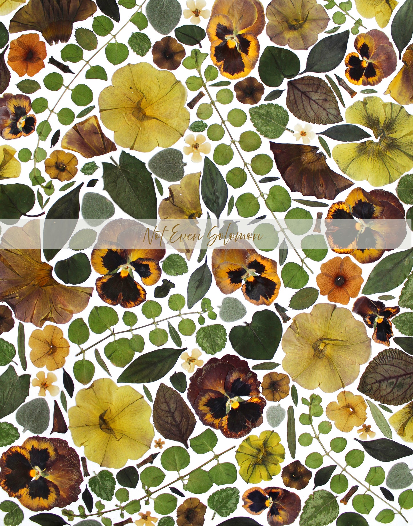 "NANA'S GARDEN" FINE ART PRINT