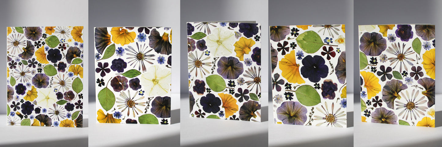 "CADENCE" ASSORTED NOTE CARD SET OF 5