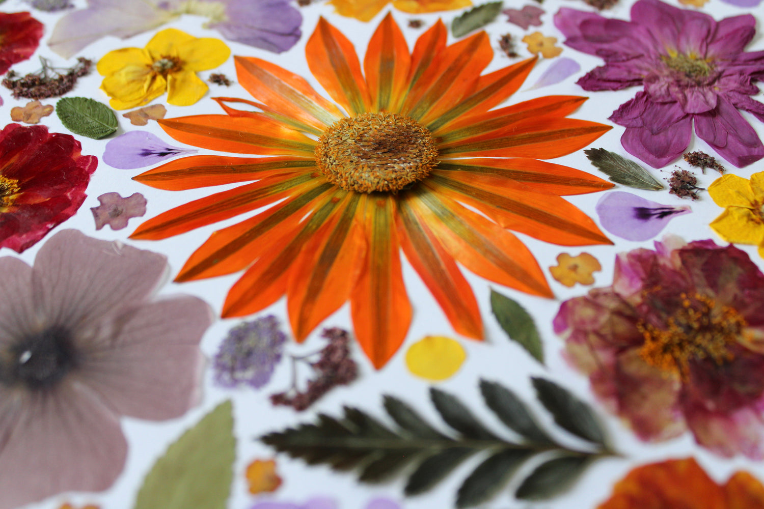 Just Flowers Art Prints