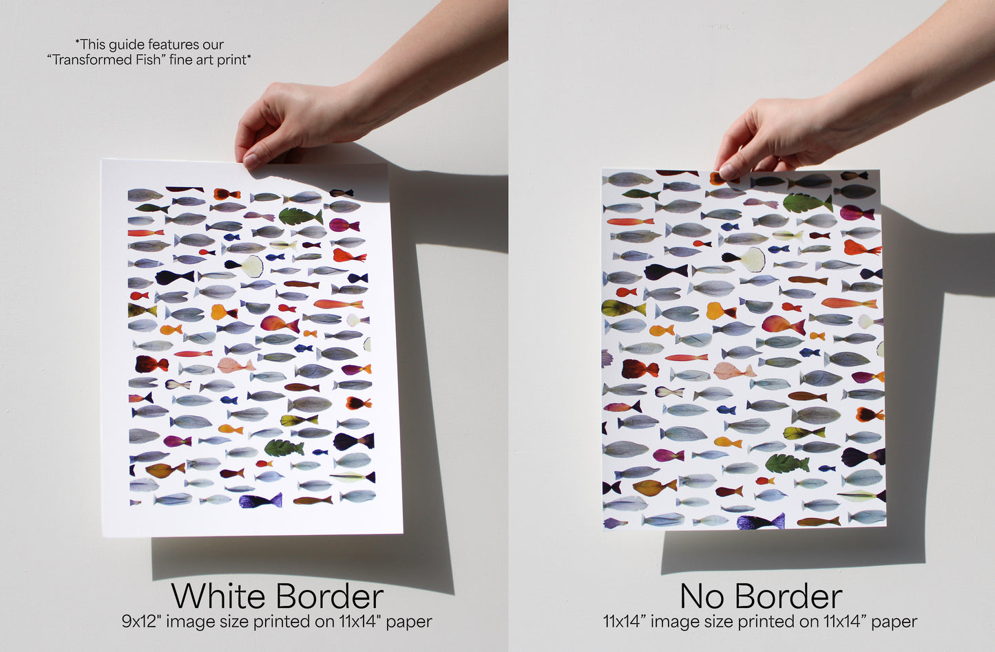 "TRANSFORMED FISH" FINE ART PRINT