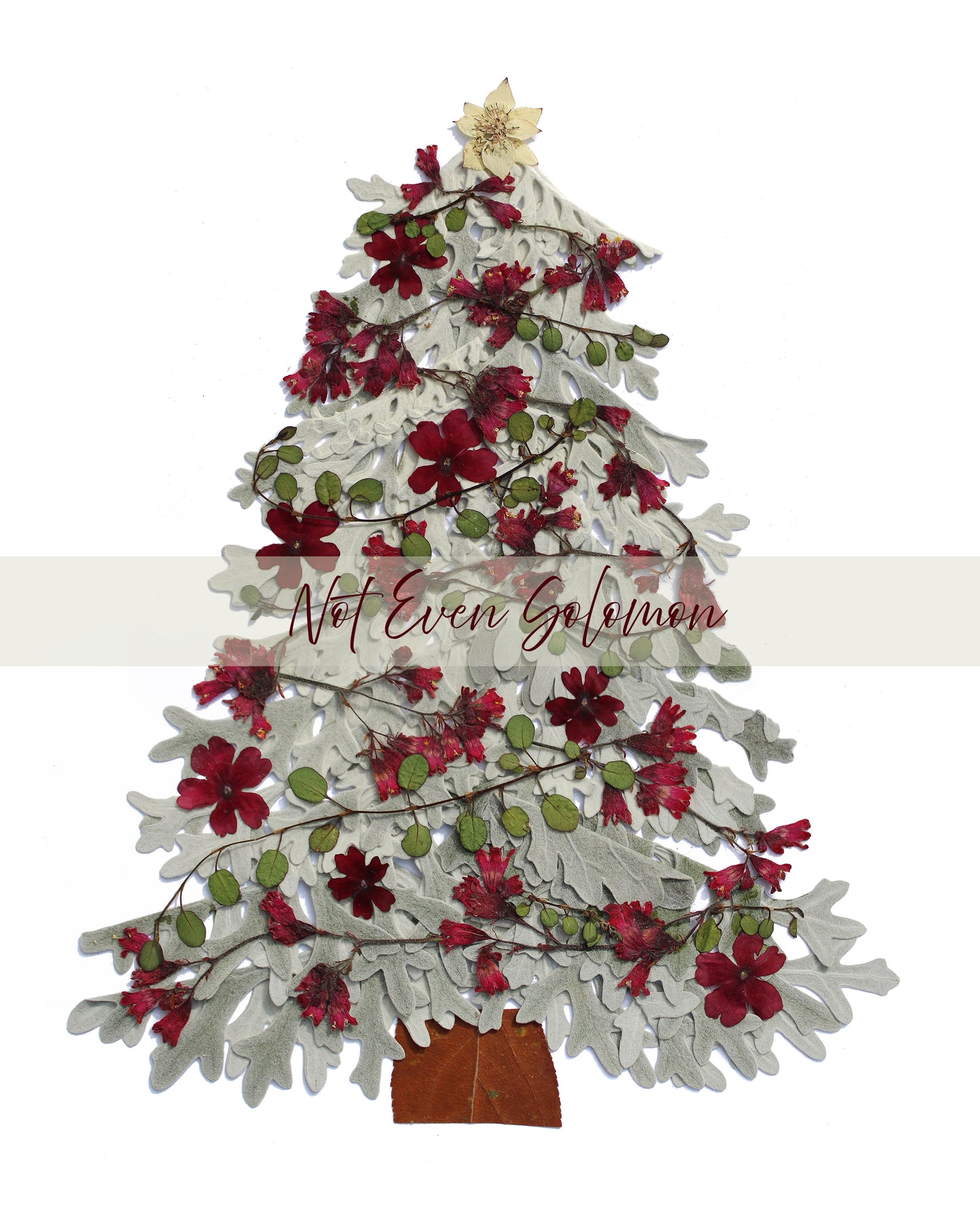 "SHINE" CHRISTMAS FINE ART PRINT