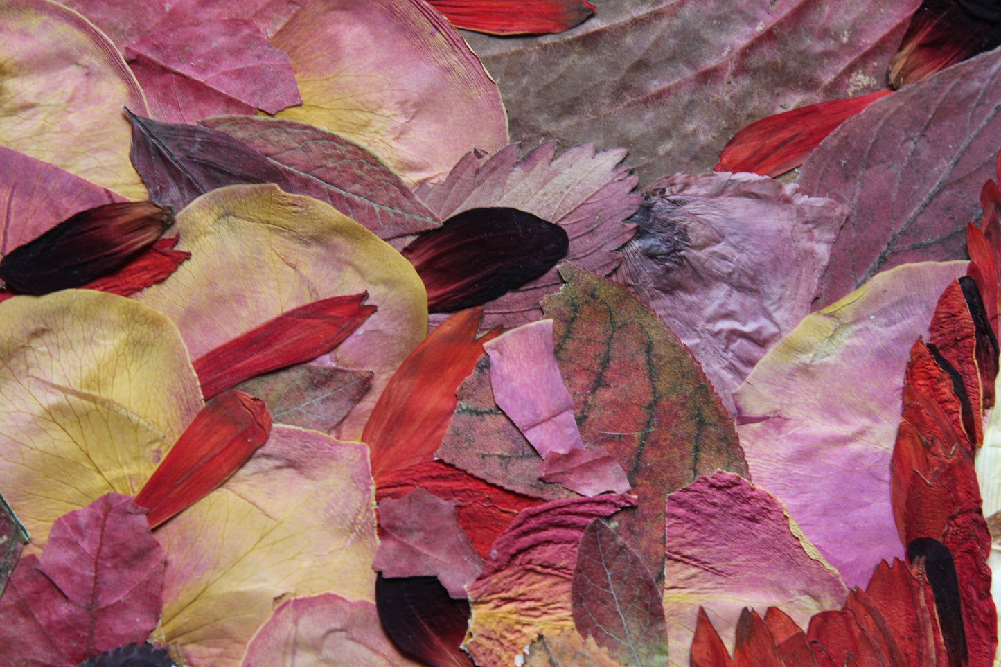 "RED SEA PARTING" FINE ART PRINT