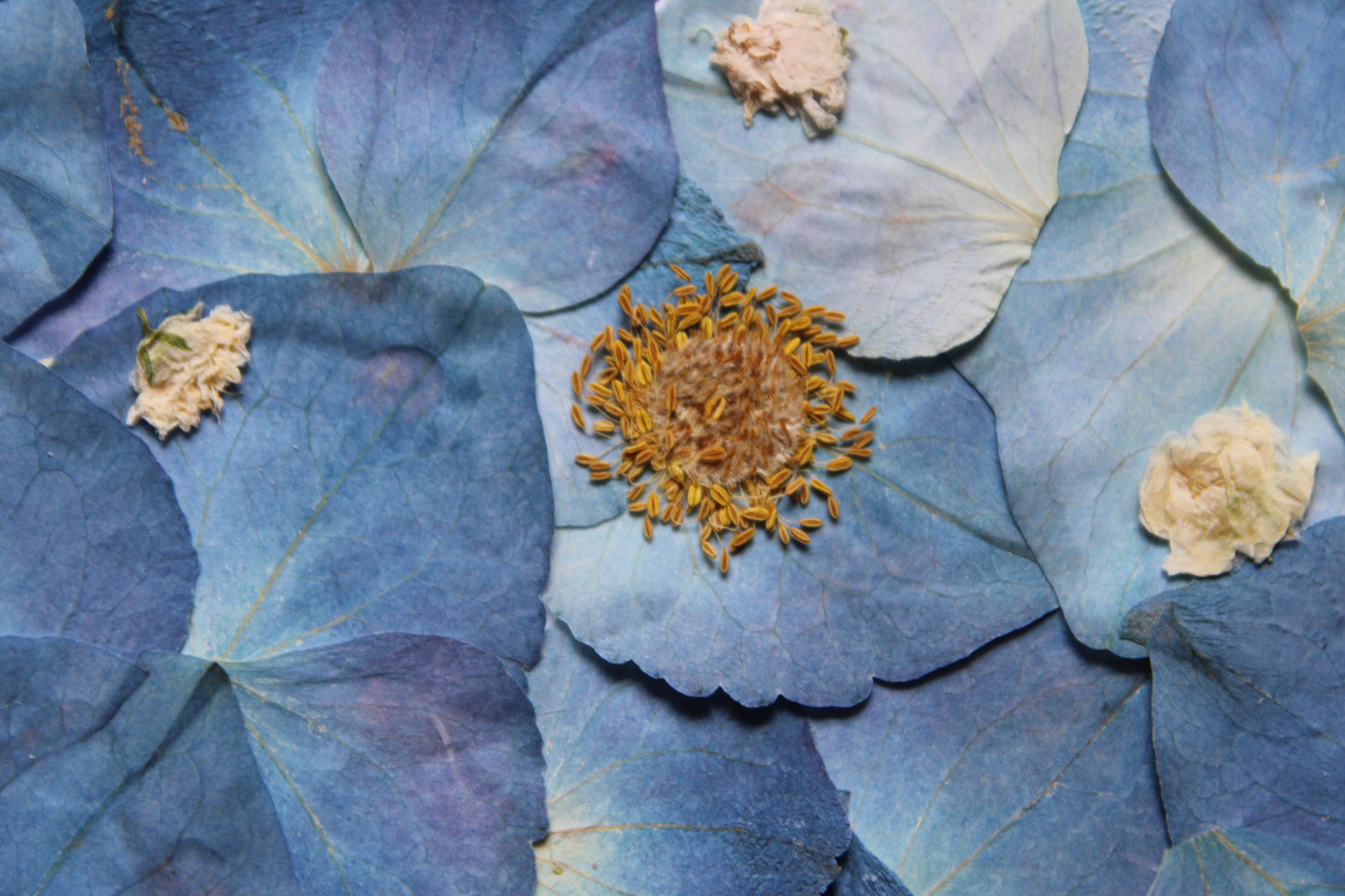 "RED SEA PARTING" FINE ART PRINT