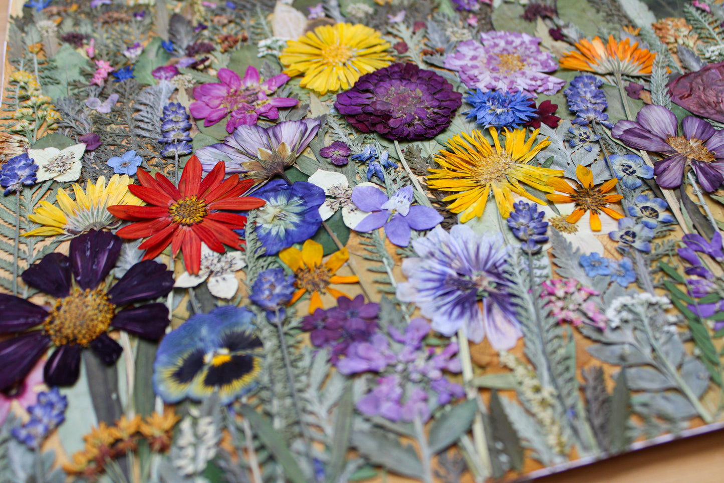 "CONSIDER THE WILDFLOWERS" FINE ART PRINT