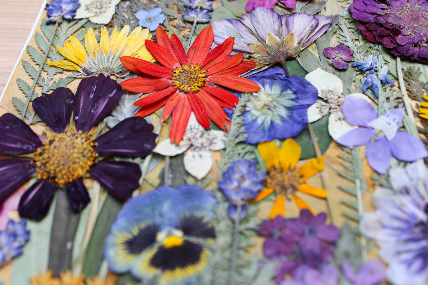 "CONSIDER THE WILDFLOWERS" FINE ART PRINT