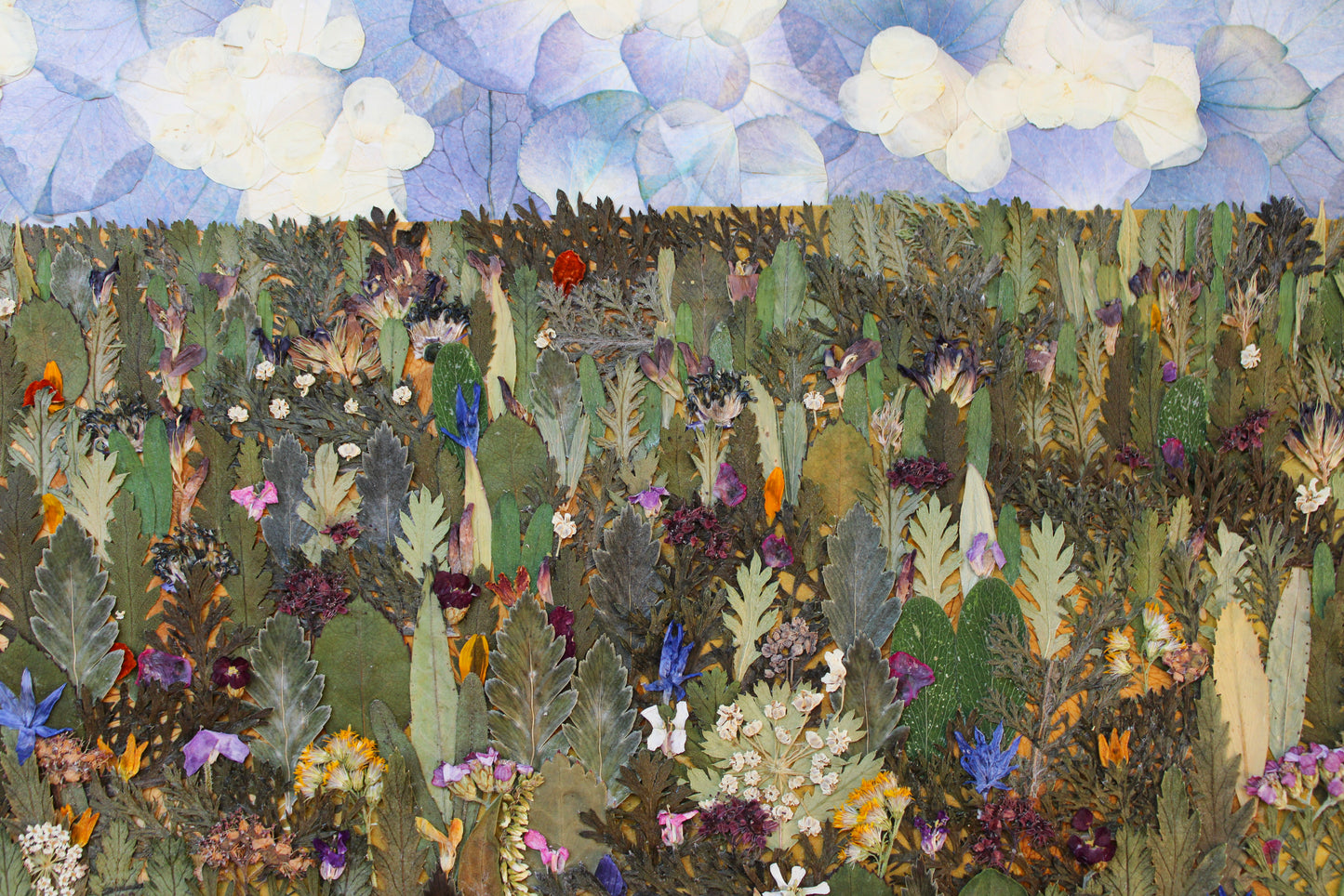 "CONSIDER THE WILDFLOWERS" FINE ART PRINT