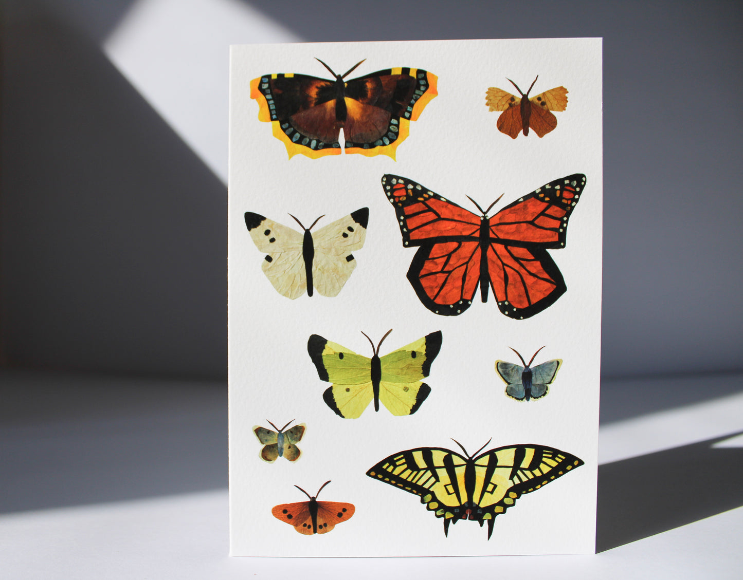 "NEW CREATION" LARGE GREETING CARD