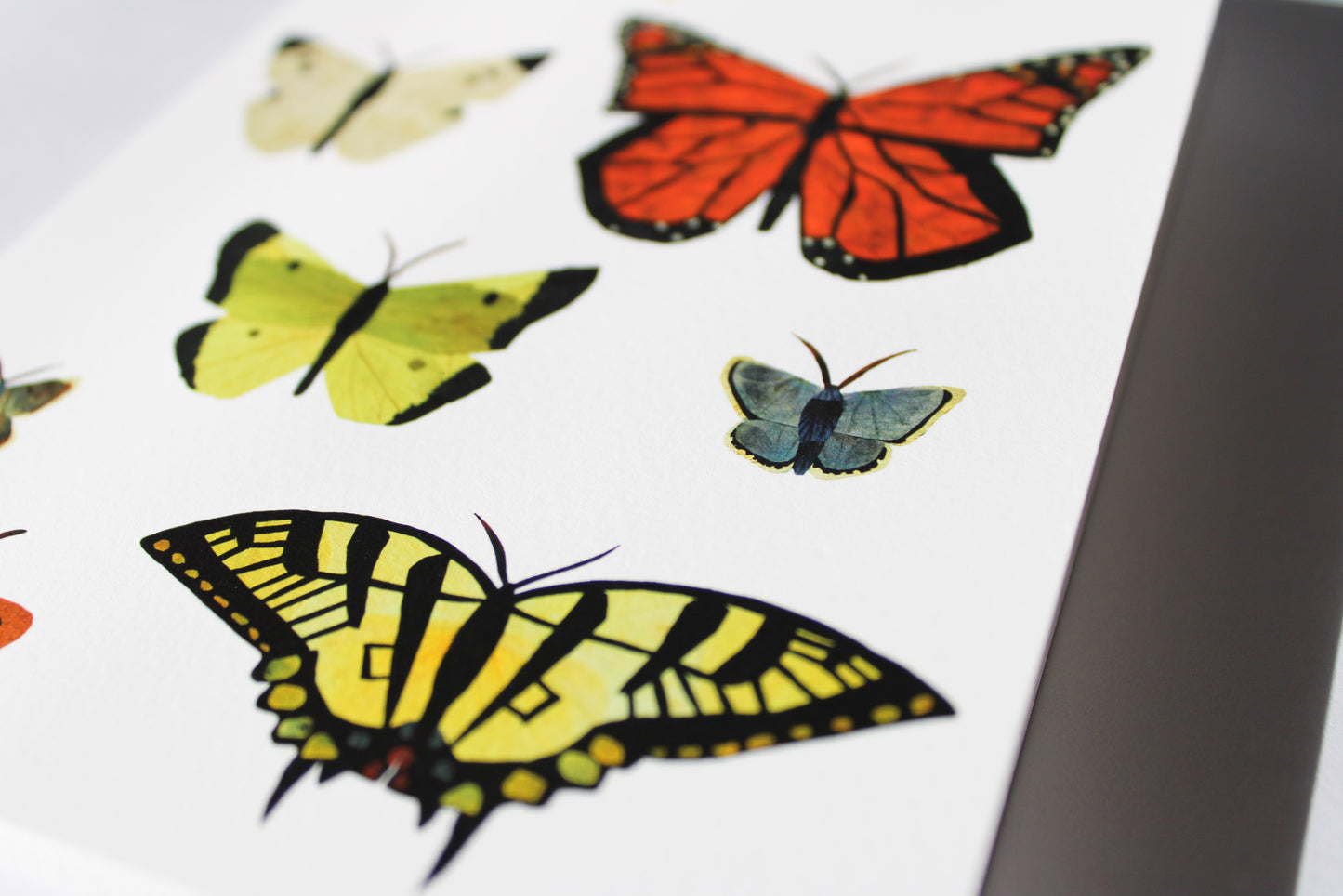 "NEW CREATION" LARGE GREETING CARD