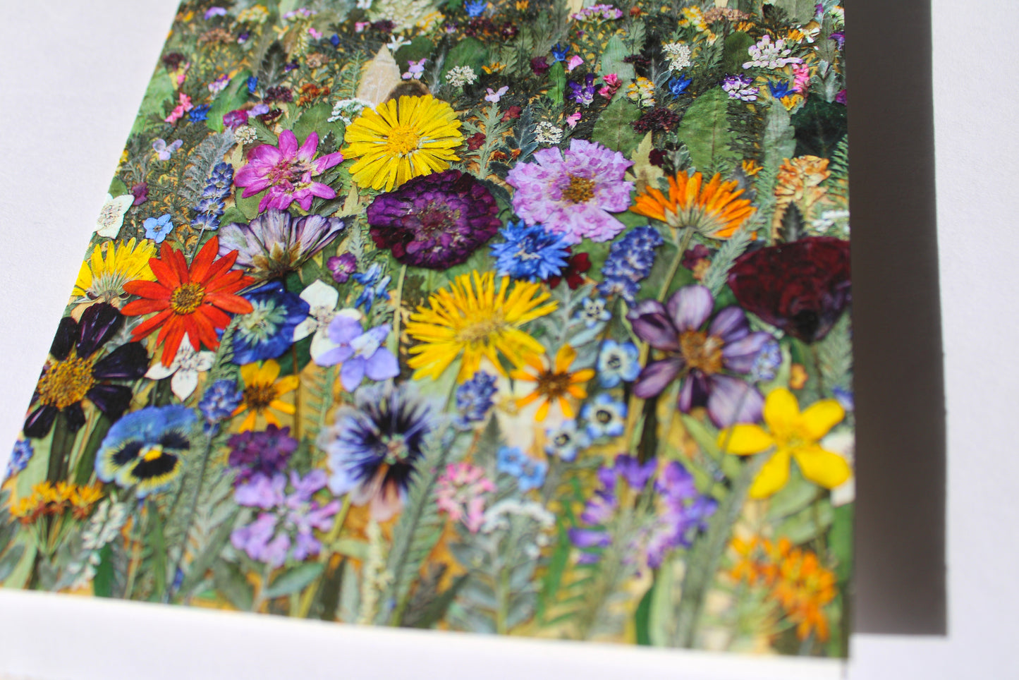 "CONSIDER THE WILDFLOWERS" GREETING CARD