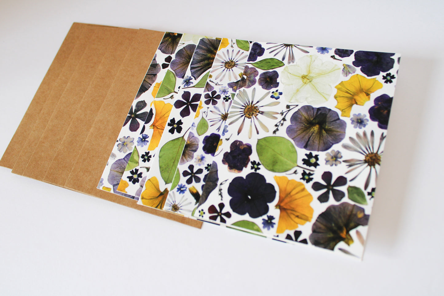 "CADENCE" ASSORTED NOTE CARD SET OF 5