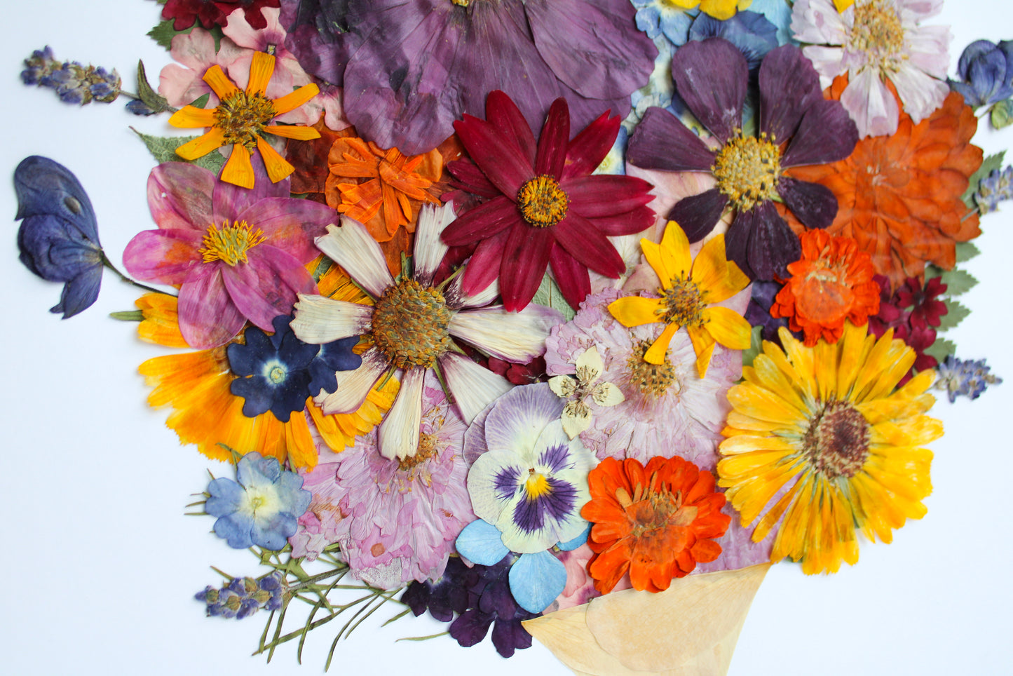 "I WILL REJOICE" FINE ART PRINT