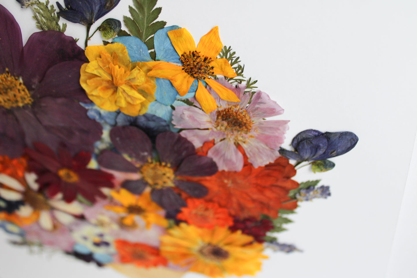 "I WILL REJOICE" FINE ART PRINT