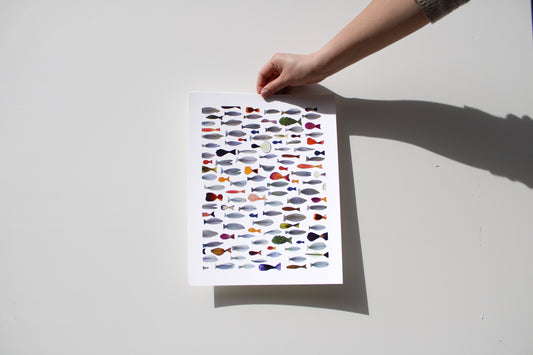 "TRANSFORMED FISH" FINE ART PRINT