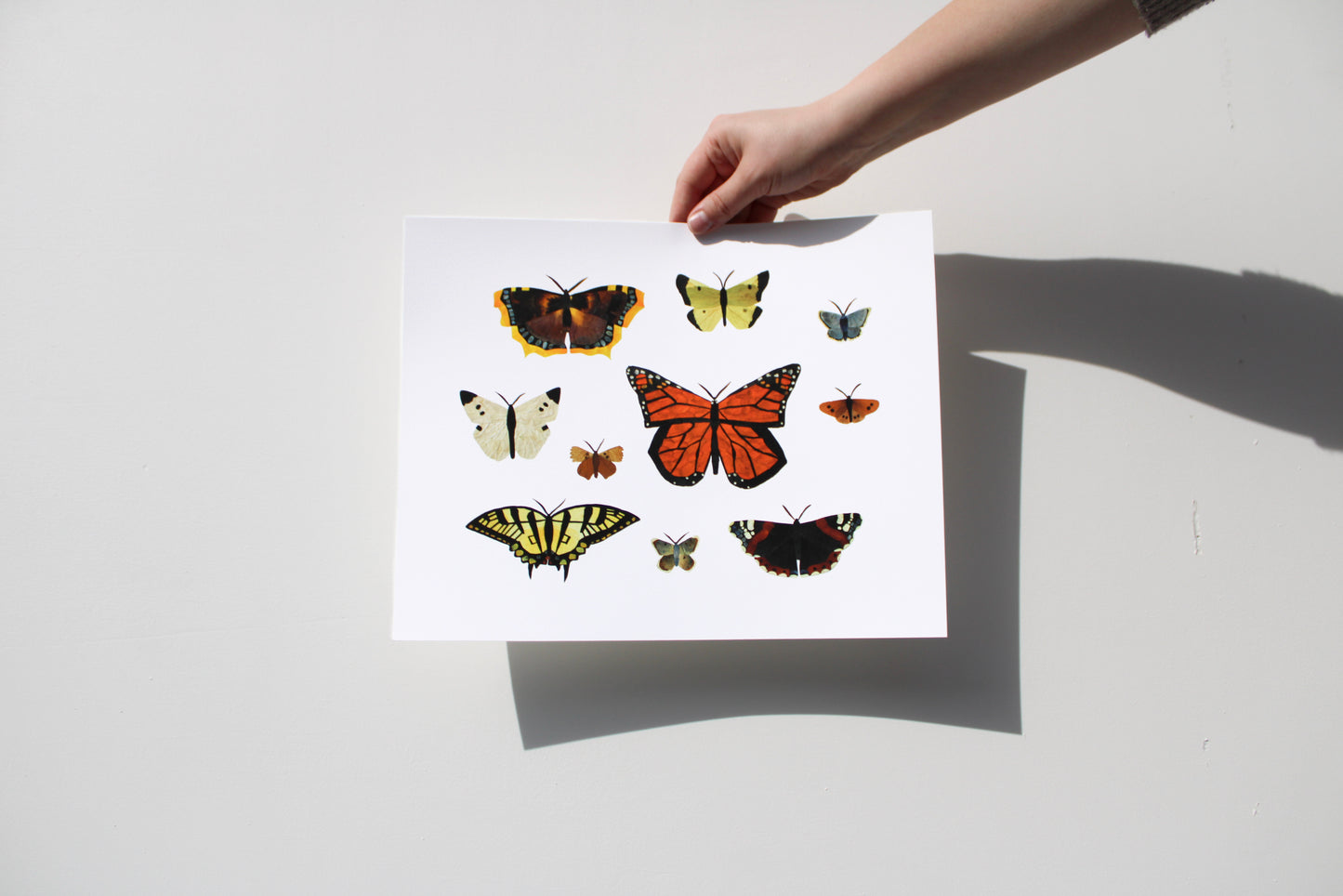 "NEW CREATION" FINE ART PRINT