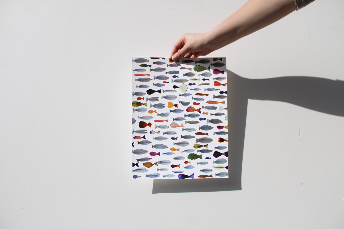 "TRANSFORMED FISH" FINE ART PRINT