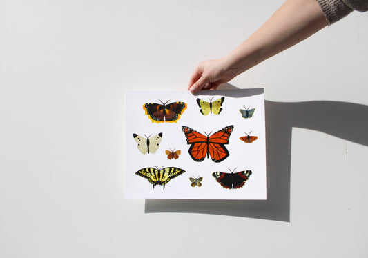 "NEW CREATION" FINE ART PRINT