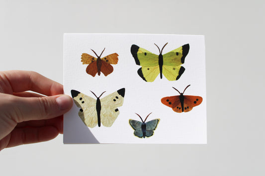 "LITTLE FLUTTERS" SMALL GREETING CARD