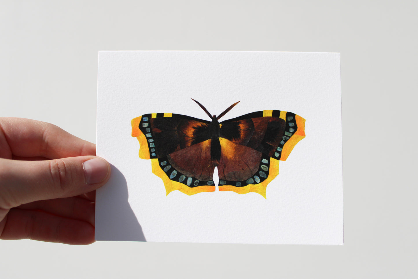 "FLUTTERBIES" ASSORTED NOTE CARD SET OF 5