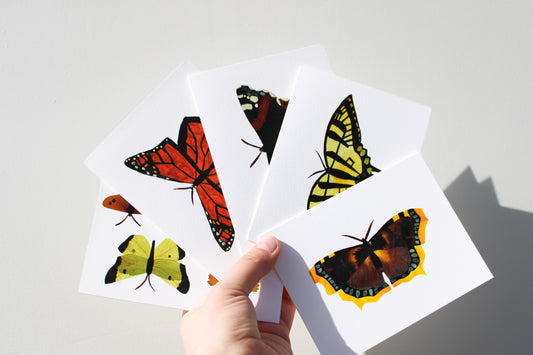 "FLUTTERBIES" ASSORTED NOTE CARD SET OF 5