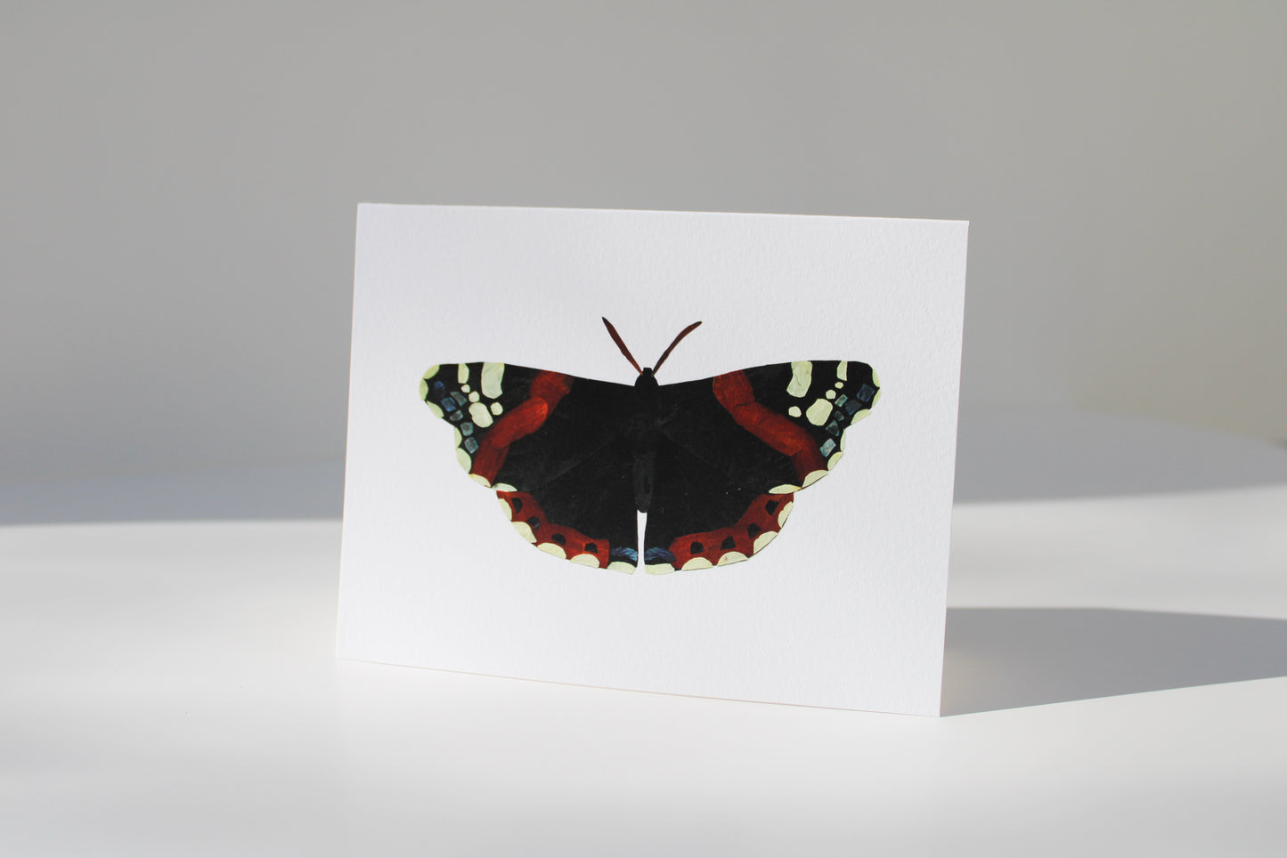 "RED ADMIRAL" GREETING CARD