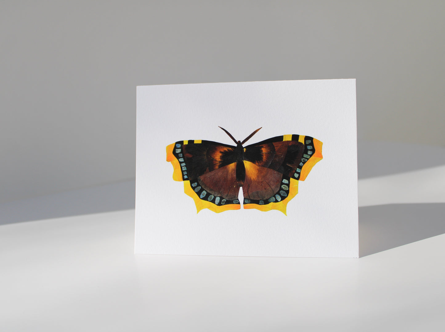 "MOURNING CLOAK" SMALL GREETING CARD