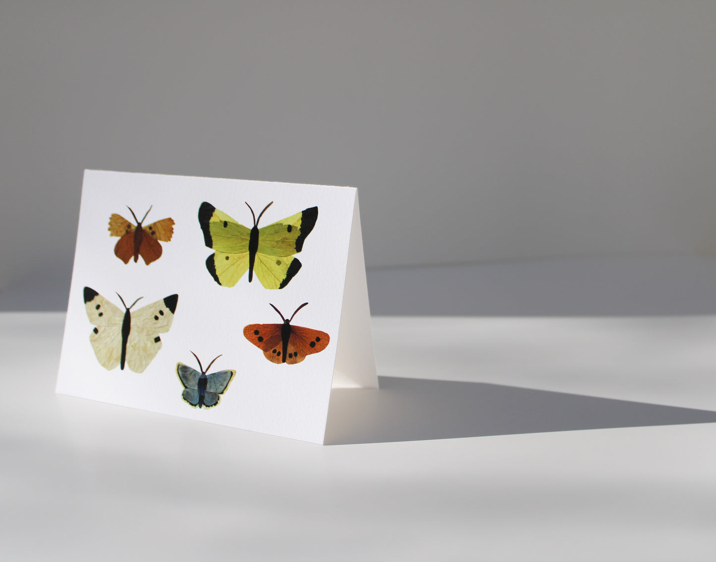 "FLUTTERBIES" ASSORTED NOTE CARD SET OF 5