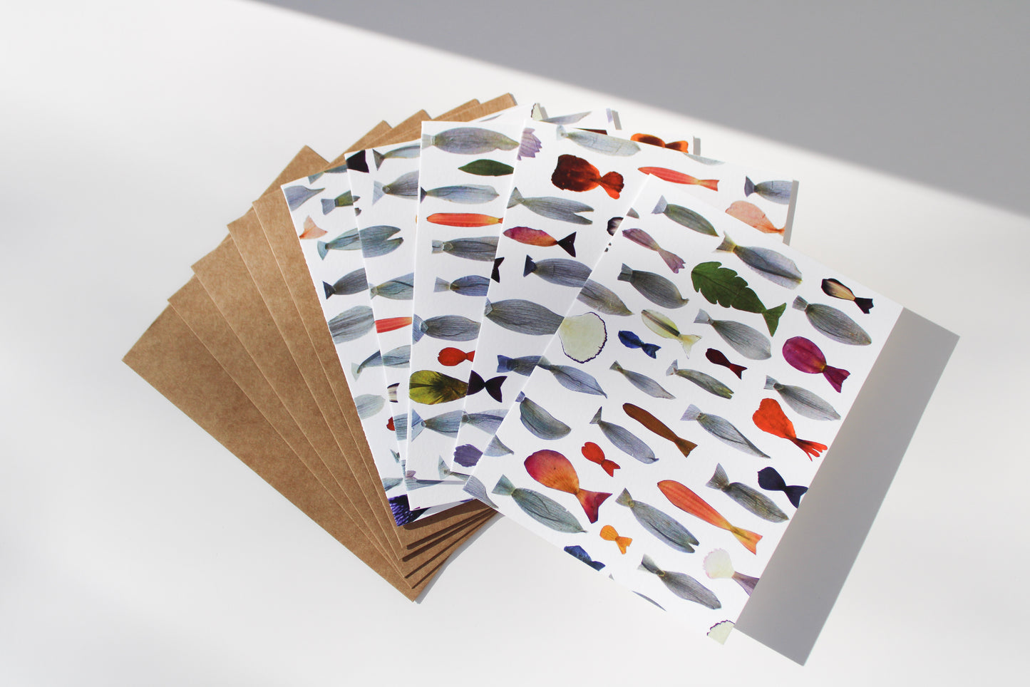 "TRANSFORMED FISH" ASSORTED NOTE CARD SET OF 5