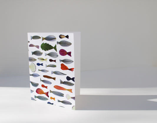 "TRANSFORMED FISH" SMALL GREETING CARD