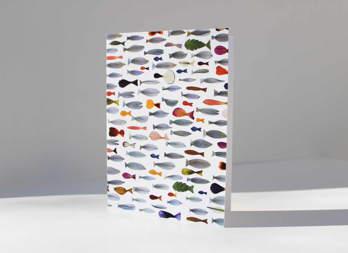 "TRANSFORMED FISH" LARGE GREETING CARD