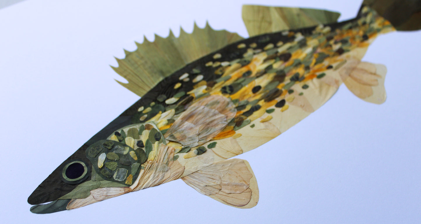 "I'M GOING FISHING" FINE ART PRINT