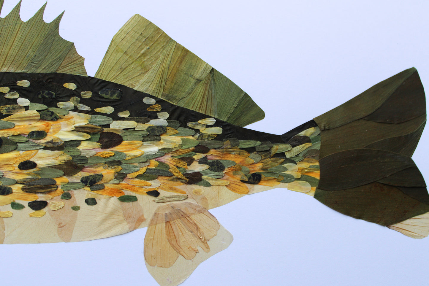 "I'M GOING FISHING" FINE ART PRINT