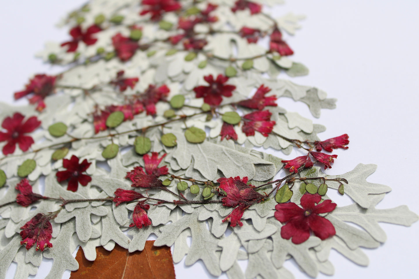 "SHINE" CHRISTMAS FINE ART PRINT