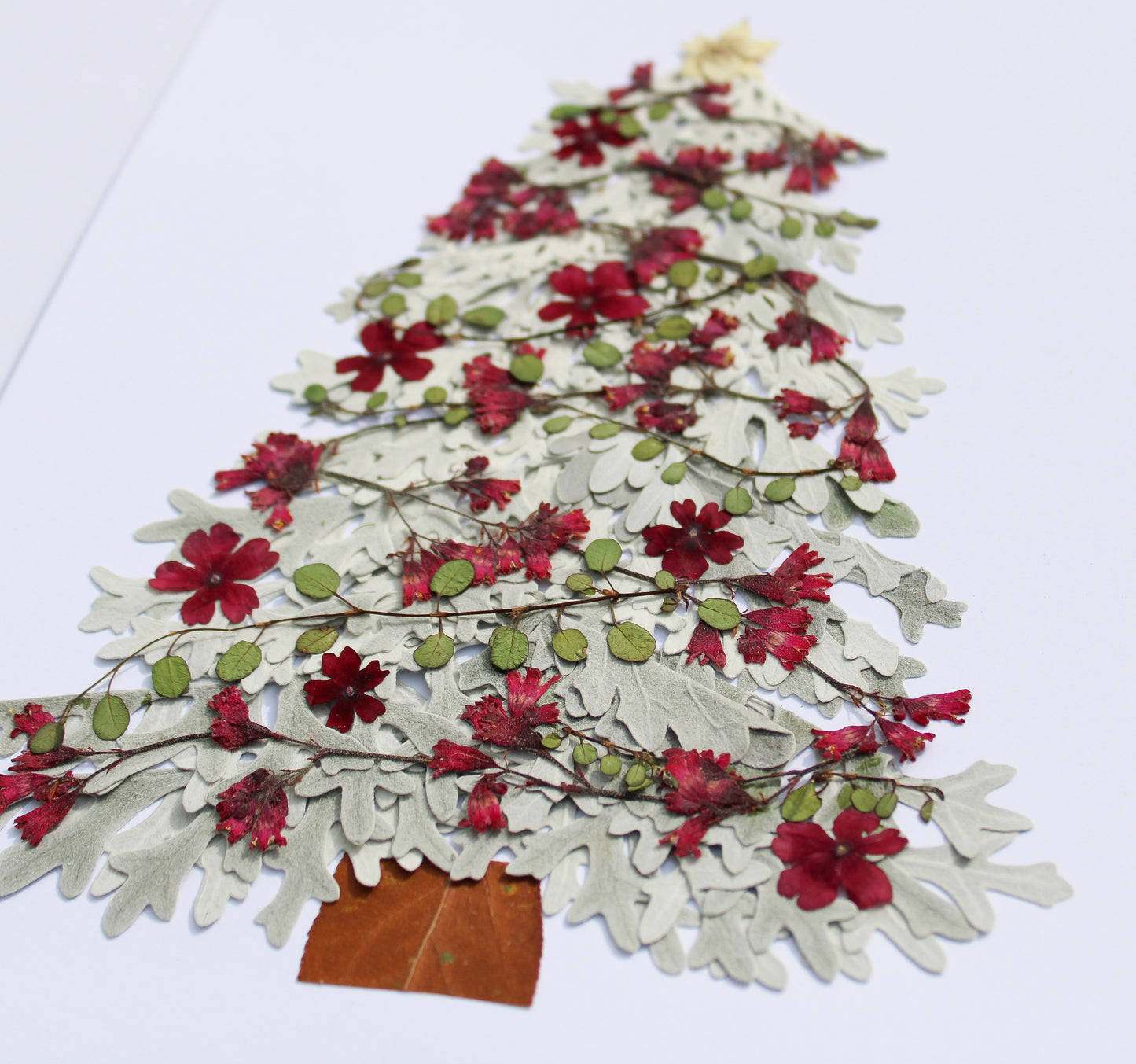 "SHINE" CHRISTMAS FINE ART PRINT