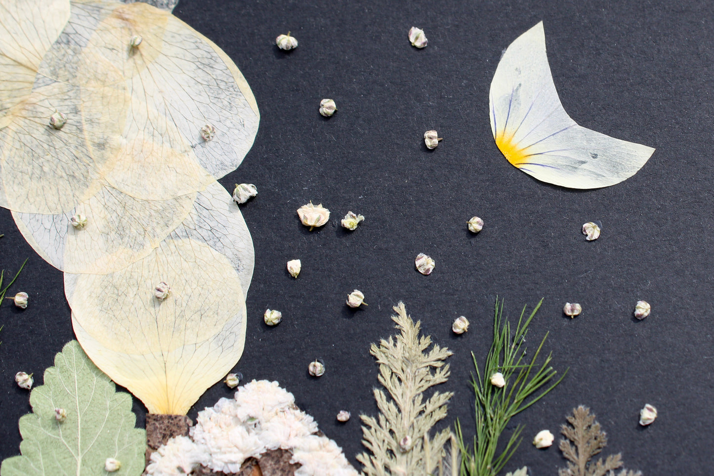 "WHITE AS SNOW" FINE ART PRINT
