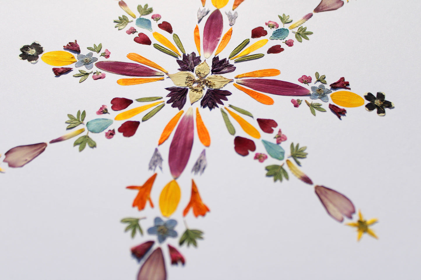 "DARKNESS WILL NOT OVERCOME" LARGE CHRISTMAS GREETING CARD