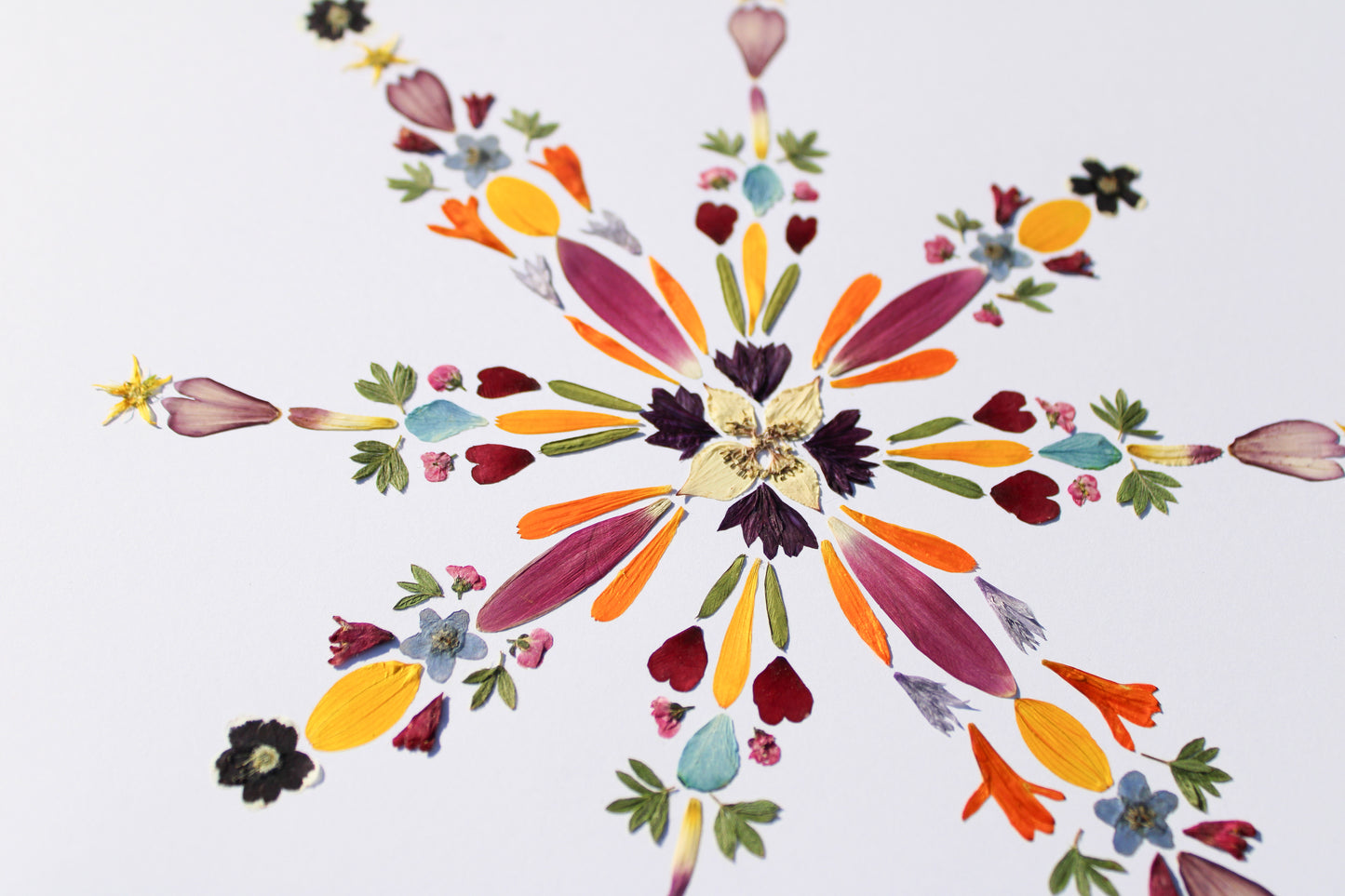 "DARKNESS WILL NOT OVERCOME" LARGE CHRISTMAS GREETING CARD