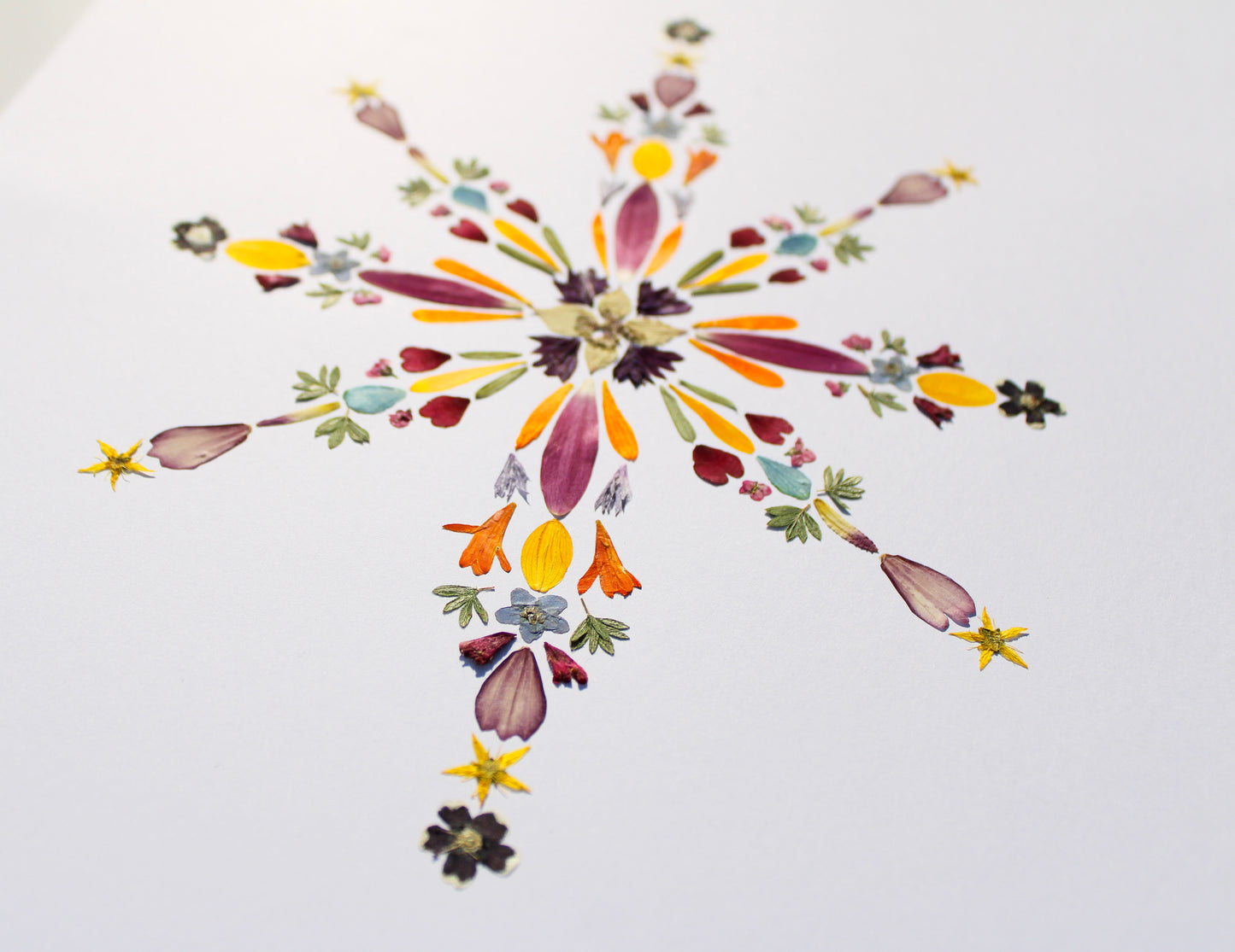 "DARKNESS WILL NOT OVERCOME" LARGE CHRISTMAS GREETING CARD