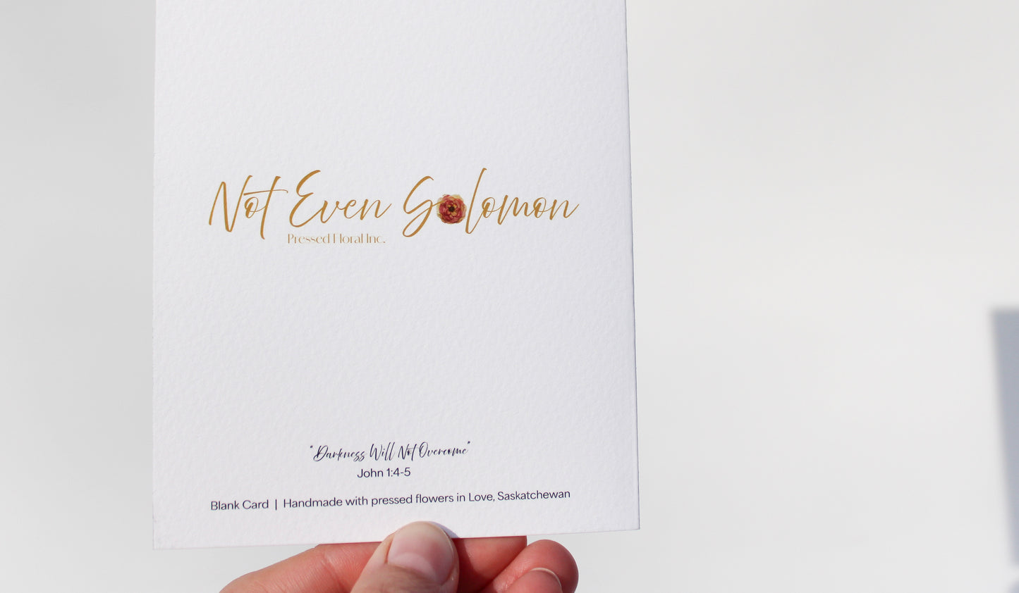 "DARKNESS WILL NOT OVERCOME" LARGE CHRISTMAS GREETING CARD