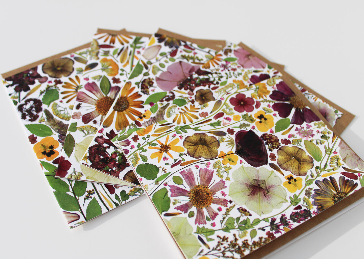 "TRANSITION" ASSORTED NOTE CARD SET OF 5