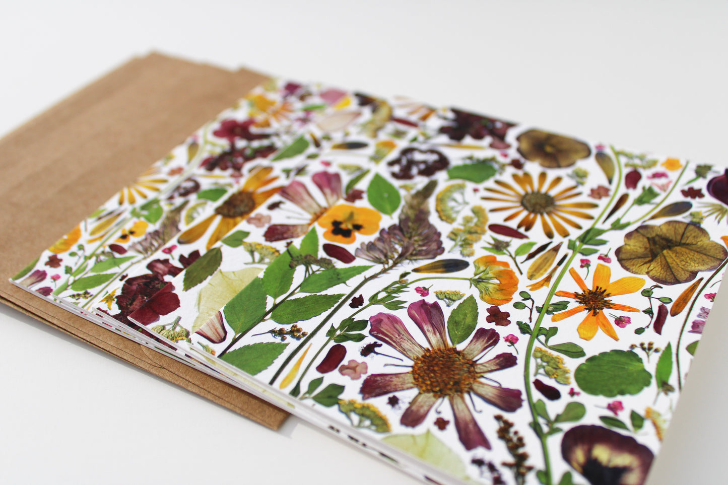 "TRANSITION" ASSORTED NOTE CARD SET OF 5