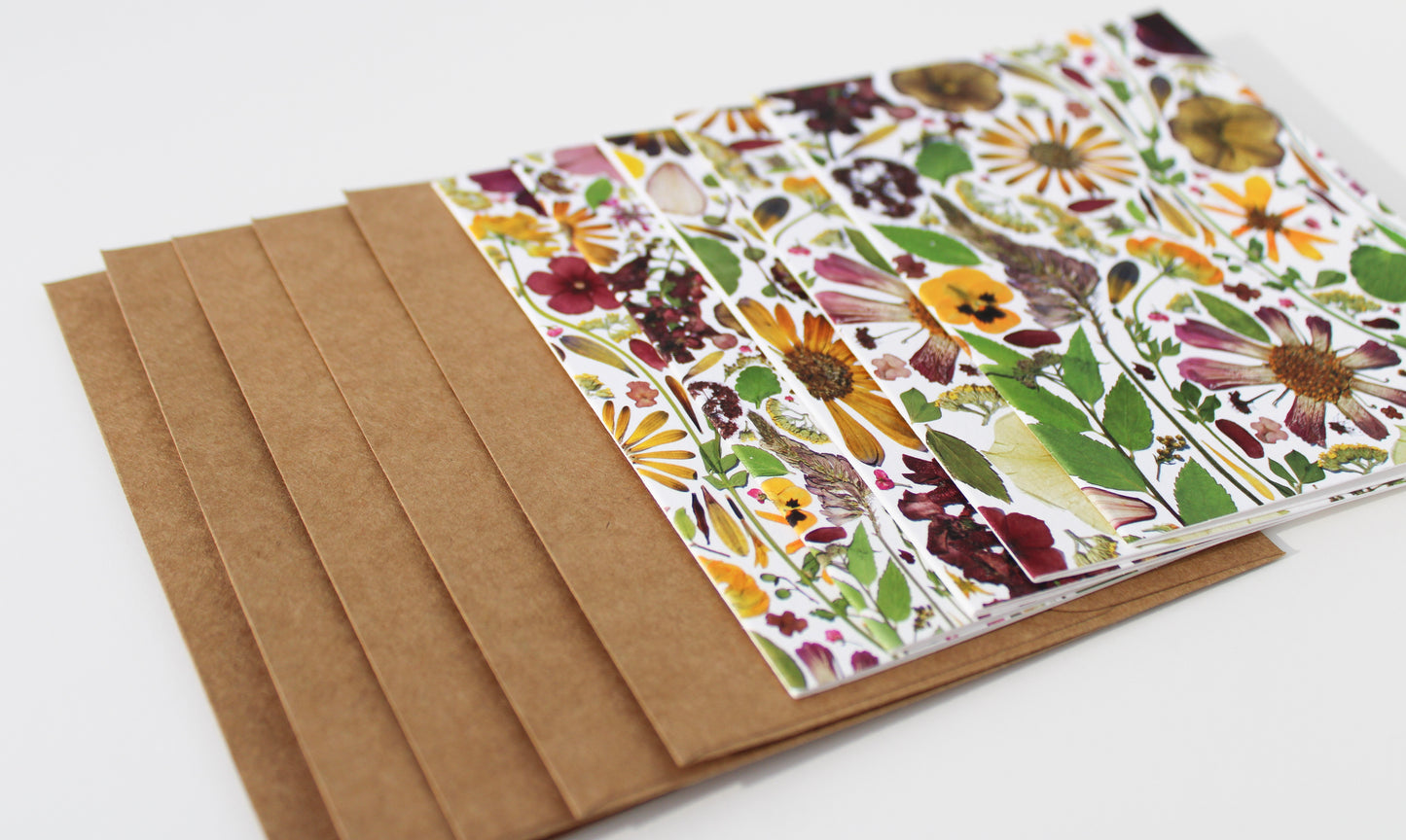 "TRANSITION" ASSORTED NOTE CARD SET OF 5