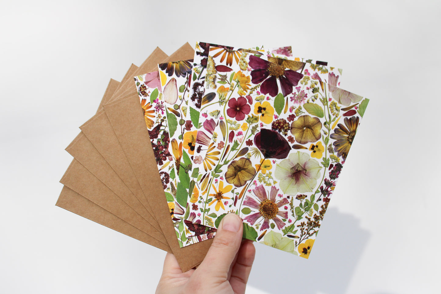 "TRANSITION" ASSORTED NOTE CARD SET OF 5