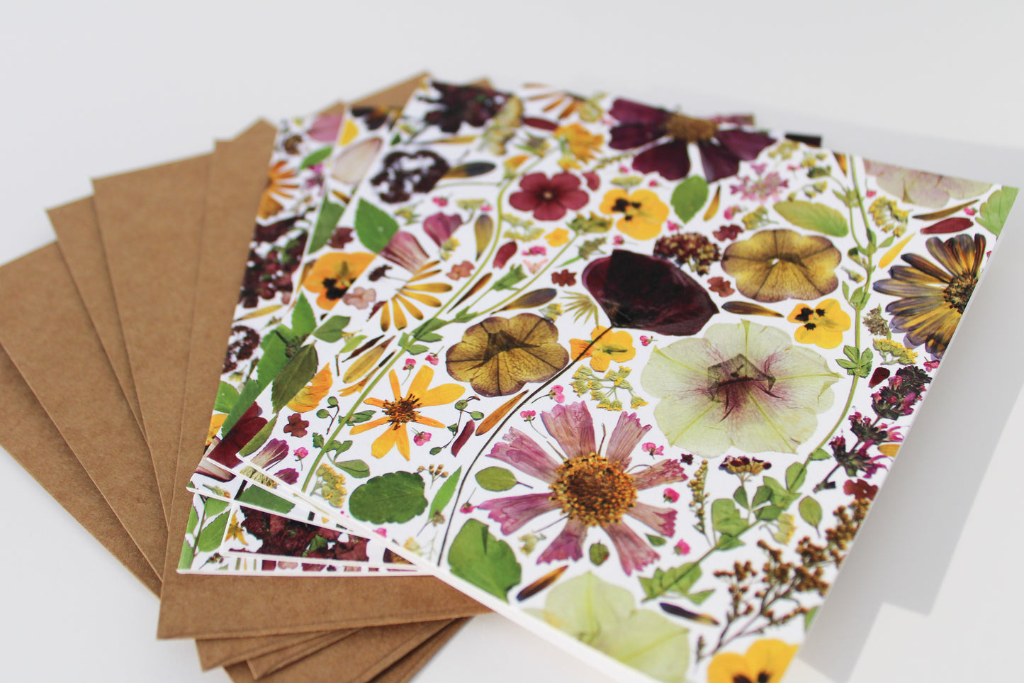 "TRANSITION" ASSORTED NOTE CARD SET OF 5