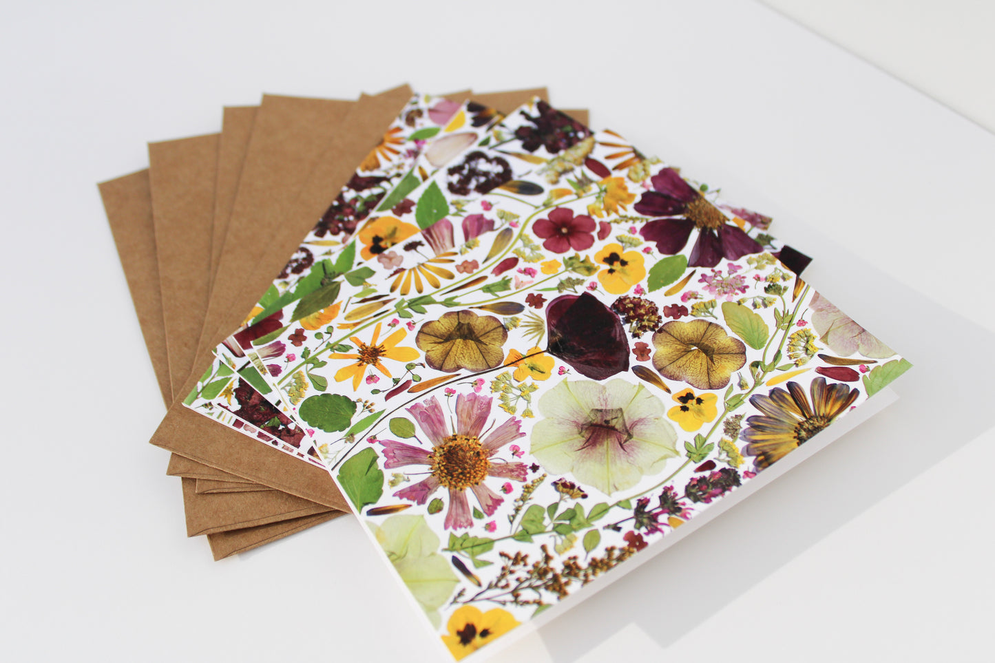 "TRANSITION" ASSORTED NOTE CARD SET OF 5