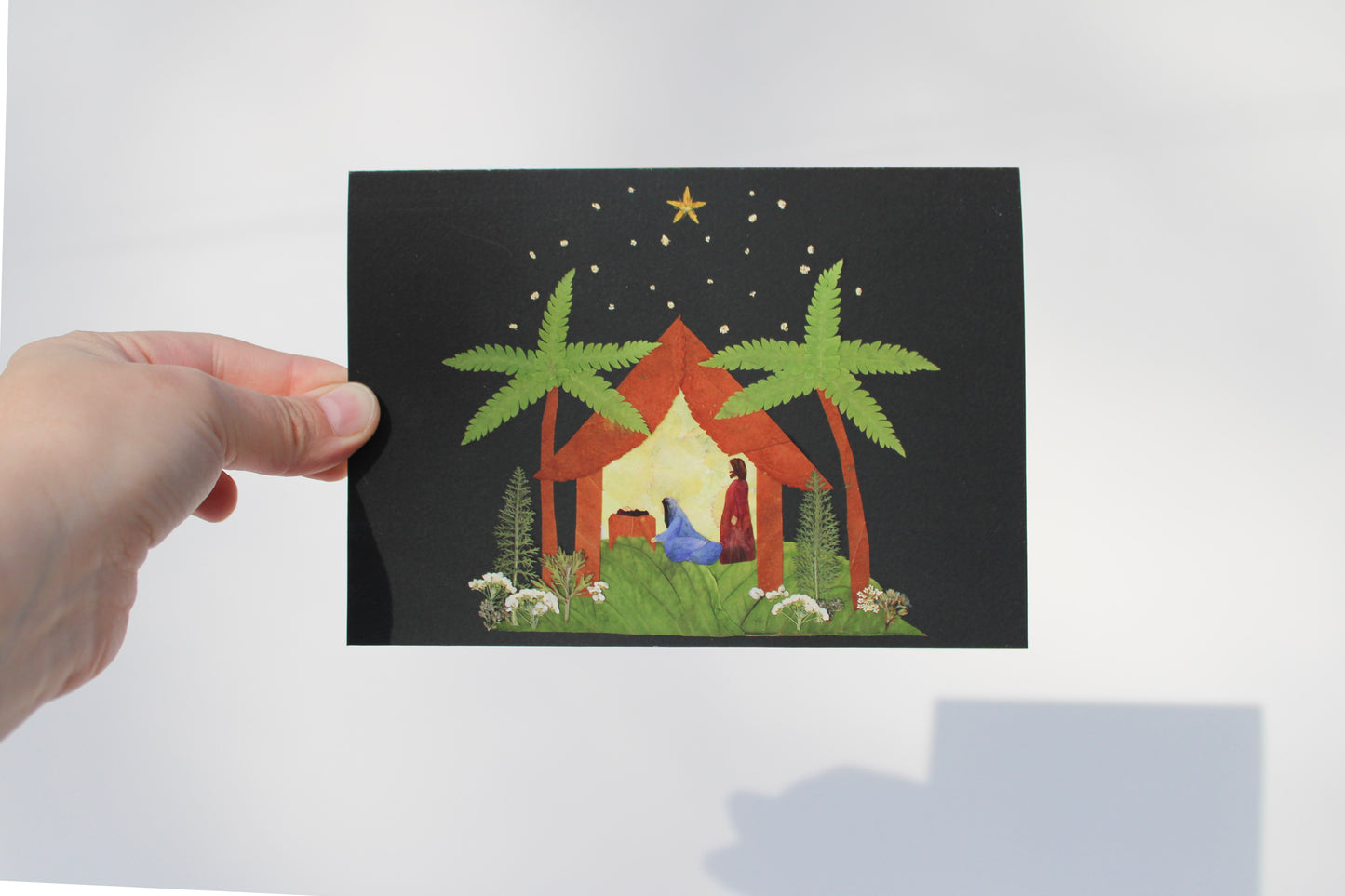 "TRUE LIGHT" LARGE CHRISTMAS GREETING CARD