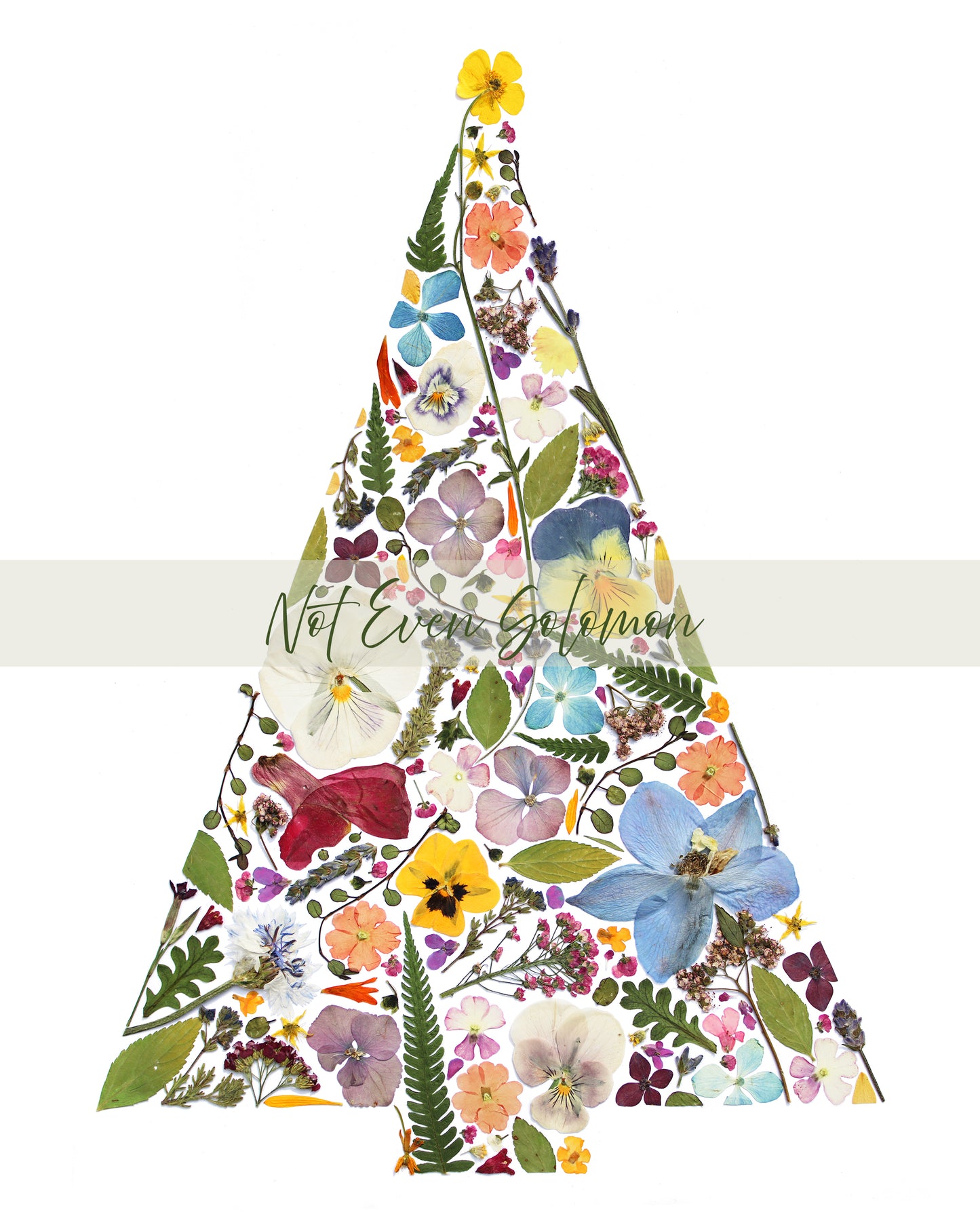 "LIGHT OF THE WORLD" CHRISTMAS FINE ART PRINT