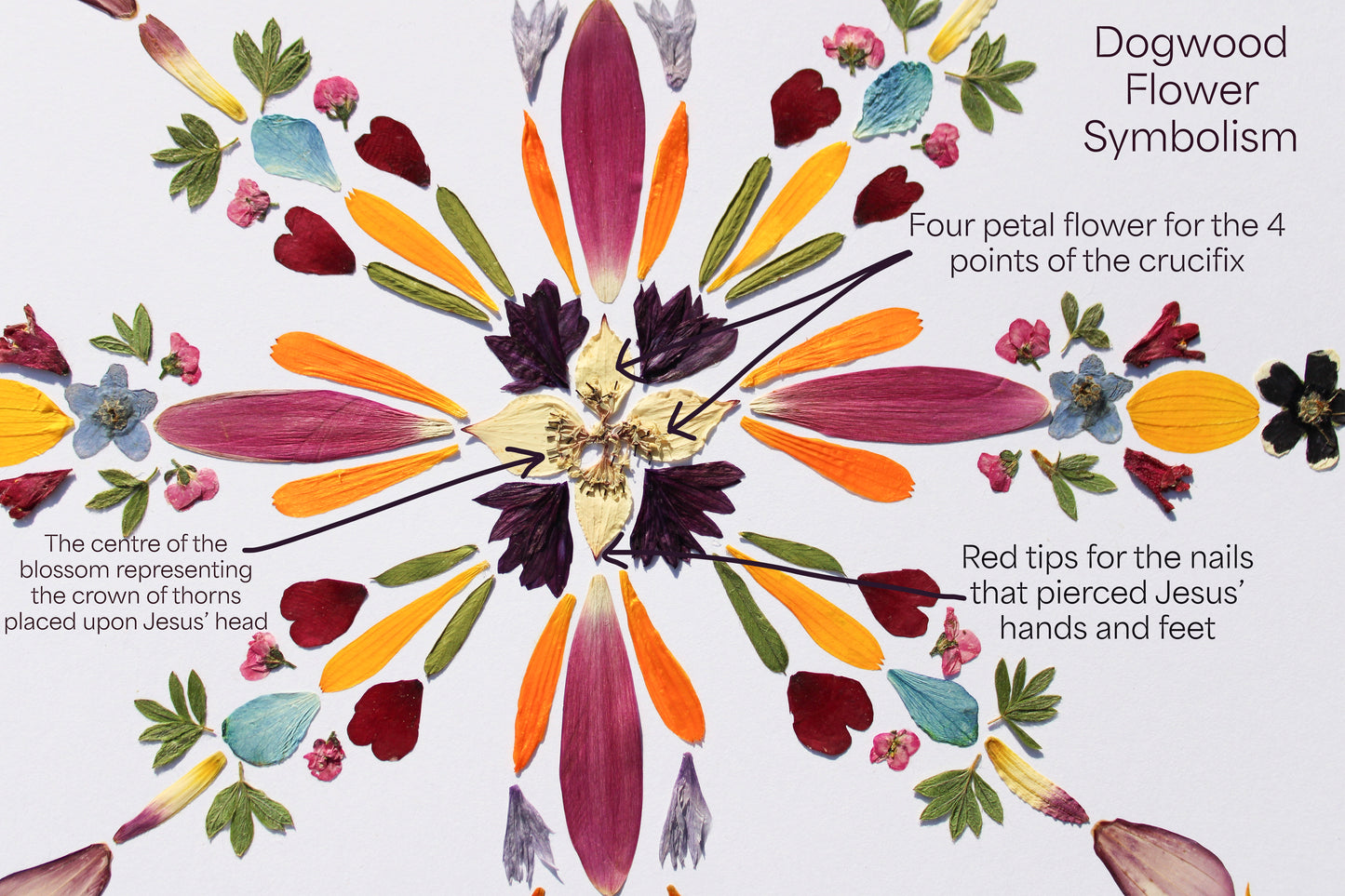 "DARKNESS WILL NOT OVERCOME" LARGE CHRISTMAS GREETING CARD